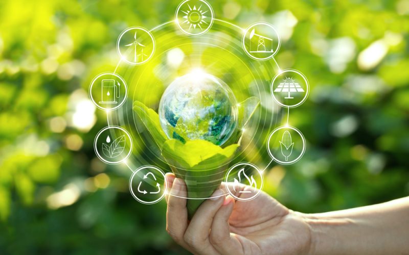 Environmental-Sustainability-Examples-Tips-to-Implement-Them